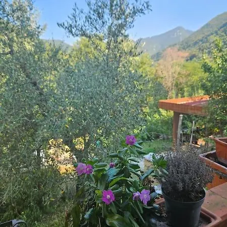 Casa Nel Bosco شاليه